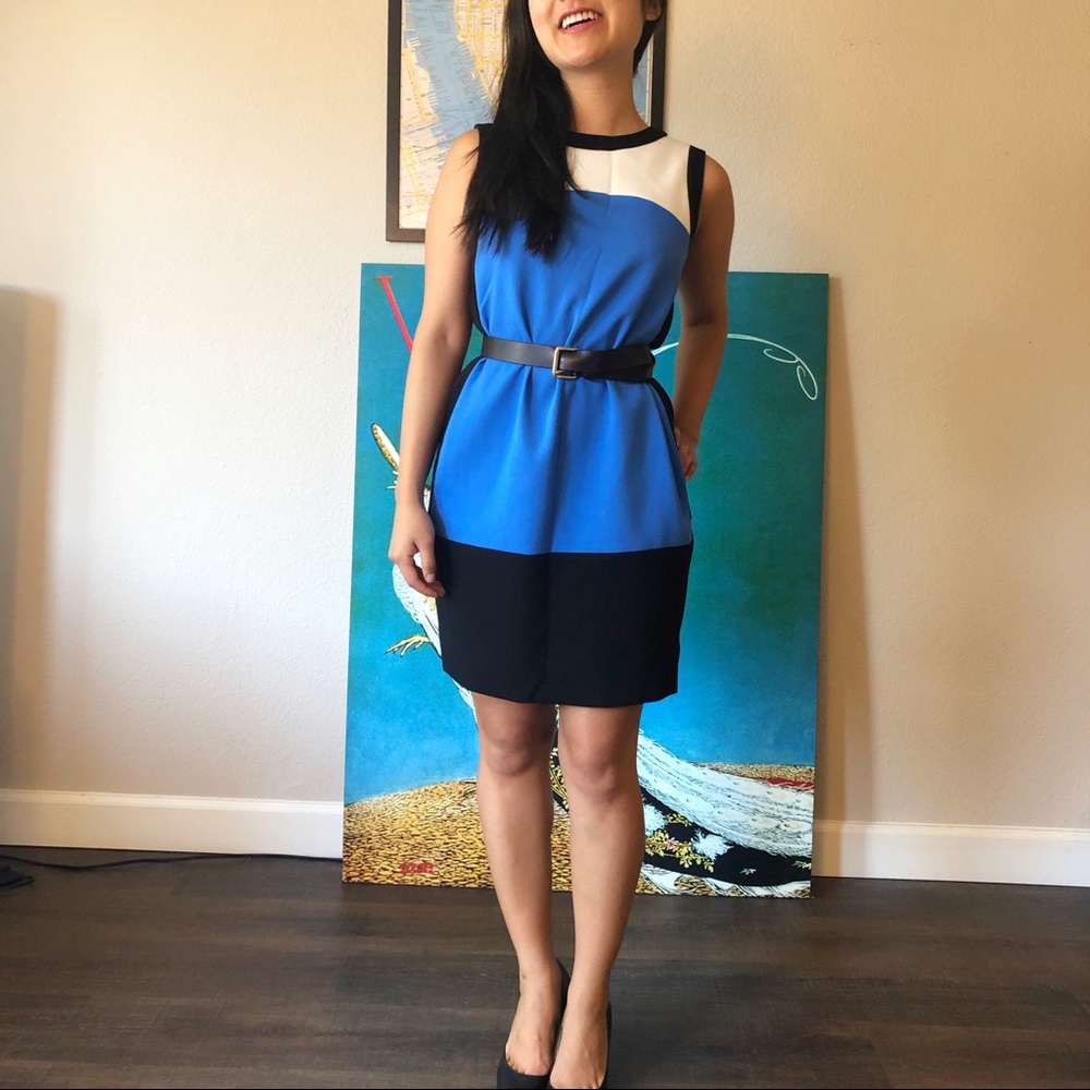Mod blue and black block dress (with pockets!)